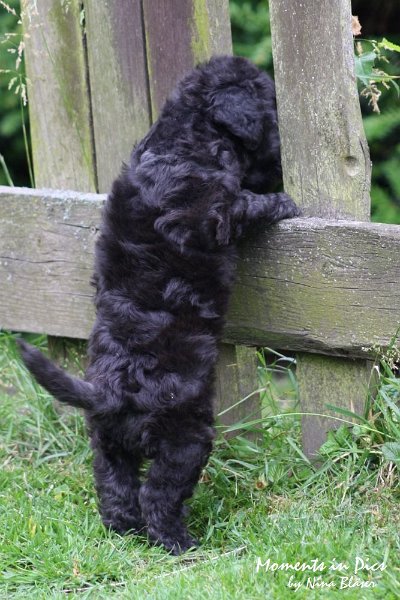 Arc-en-ciel Antares 2009-06-17 (34).JPG